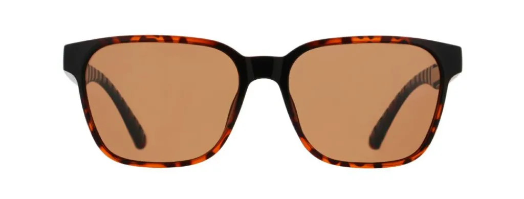 RedBull SPECT Eyewear Briller & Solbriller<ELIOT Solbriller