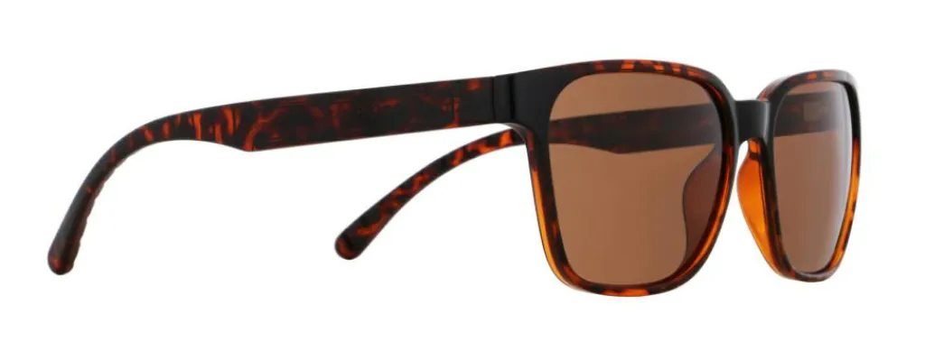 RedBull SPECT Eyewear Briller & Solbriller<ELIOT Solbriller