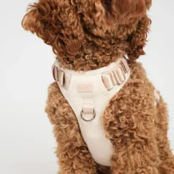 Staey Elma Harness< Halsbånd & Seler