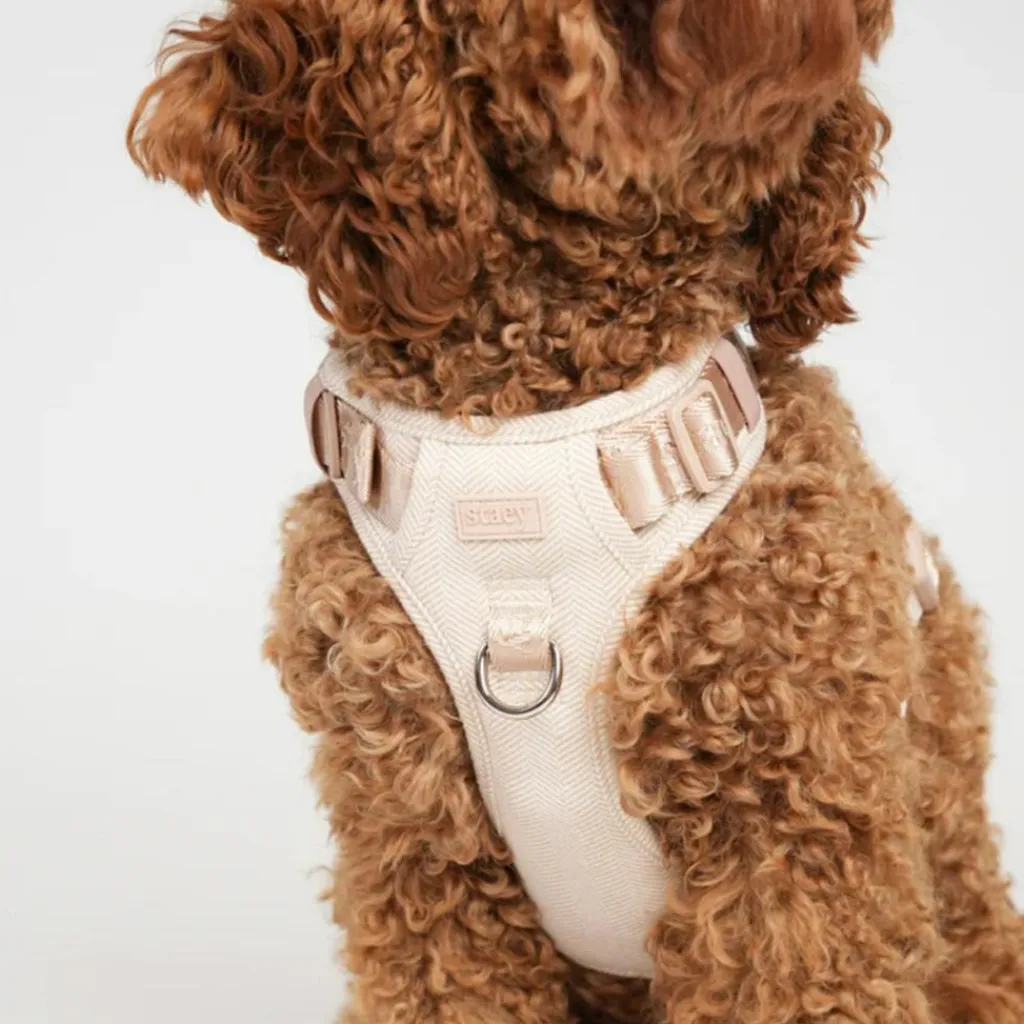 Staey Elma Harness< Halsbånd & Seler