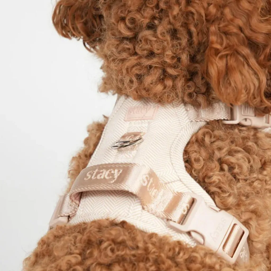 Staey Elma Harness< Halsbånd & Seler