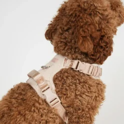 Staey Elma Harness< Halsbånd & Seler