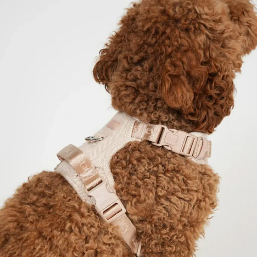 Staey Elma Harness< Halsbånd & Seler