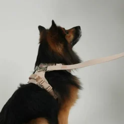 Staey Elma Leash< Halsbånd & Seler