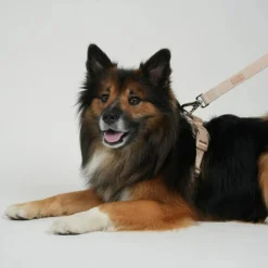 Staey Elma Leash< Halsbånd & Seler