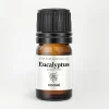 COOHÉ Duft Til Hjemmet|Duftolier>Eucalyptus Essential Oil