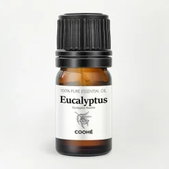 COOHÉ Duft Til Hjemmet|Duftolier>Eucalyptus Essential Oil