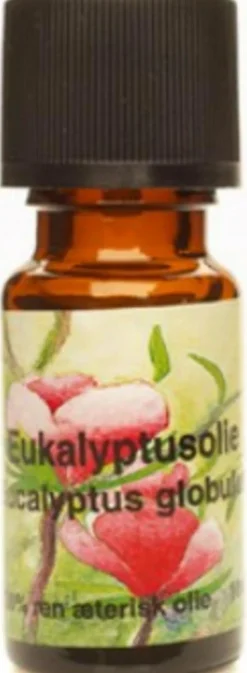 Unique Eukalyptusolie< Duft Til Hjemmet|Duftolier