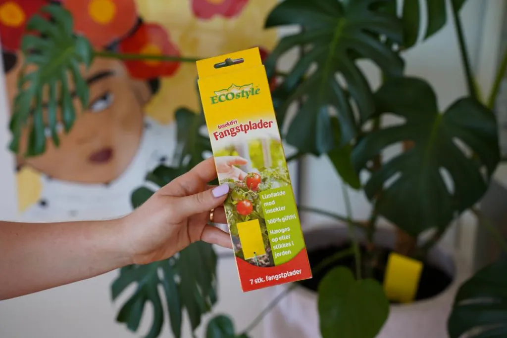 ECOstyle Skadedyrsbekæmpelse>Fangstplader