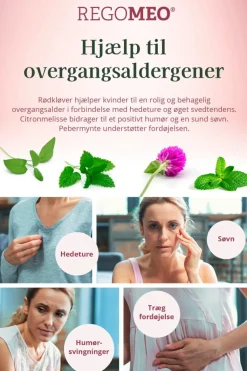Herrens Mark Fermenteret Rødkløverekstrakt< Ingredienser|Kosttilskud Til Kvinder