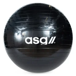ASG Fitnessudstyr<Fitnessbold