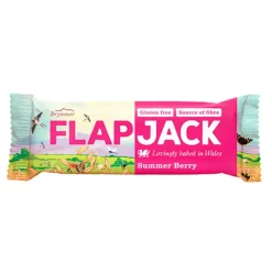Brynmor Barer<Flapjack