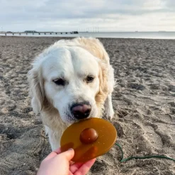 HEVEA Dyrelegetøj<Galaxy Disc