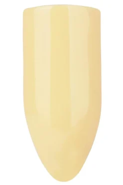 Nailster Gelénegle<Gel Polish
