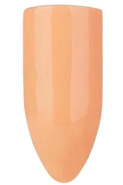 Nailster Gelénegle<Gel Polish
