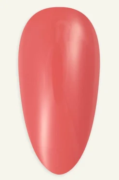 Nailster Gelénegle<Gel Polish