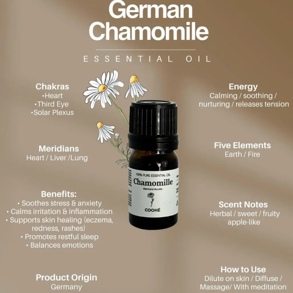 COOHÉ Duftolier>German Chamomile Essential Oil
