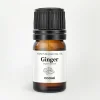 COOHÉ Duftolier>Ginger Essential Oil