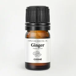 COOHÉ Duftolier>Ginger Essential Oil