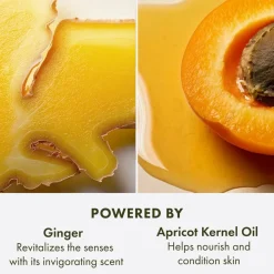 Origins Ginger Souffle Whipped Hydrating Body Cream< Bodylotion