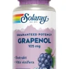 Solaray Hjerte & Kredsløb<Grapenol 100 mg