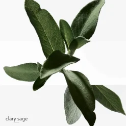 HERMÈS H24 Eau De Toilette Natural Spray< Eau De Toilette|Eau De Toilette
