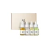 Beauty of Joseon Rejsestørrelser<Hanbang Serum Discovery Kit