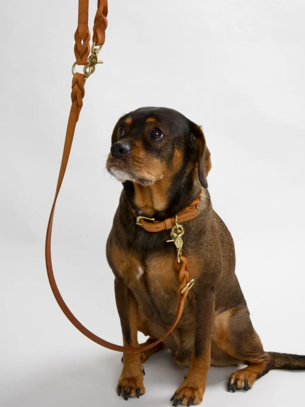 nordog Halsbånd & Seler<Hugo flettet Halsbånd