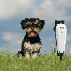 Wahl Hundeklippere<Hundeklipper