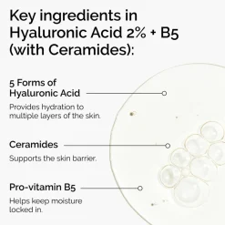 The Ordinary Hyaluronic Acid 2% + B5 Serum< Rejsestørrelser