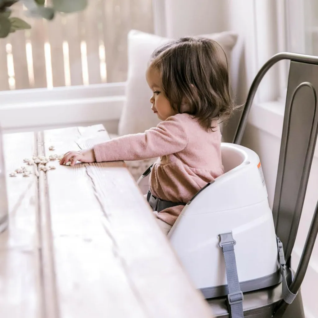 Ingenuity 2-i-1 Babysæde<Børn Øvrig
