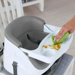 Ingenuity 2-i-1 Babysæde<Børn Øvrig