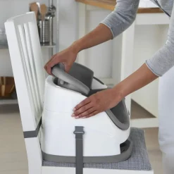 Ingenuity 2-i-1 Babysæde<Børn Øvrig