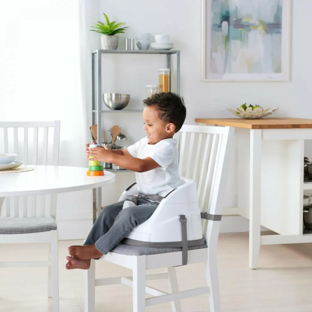 Ingenuity 2-i-1 Babysæde<Børn Øvrig