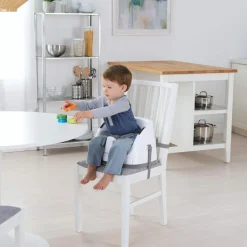Ingenuity 2-i-1 Babysæde<Børn Øvrig