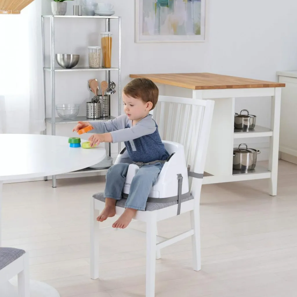 Ingenuity 2-i-1 Babysæde<Børn Øvrig