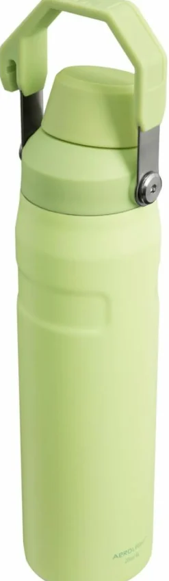 Stanley Drikkedunke<IceFlow Water Bottle Fast Flow 0,6 L