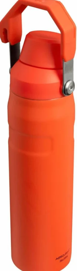 Stanley Drikkedunke>IceFlow Water Bottle Fast Flow 0,6 L
