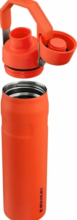 Stanley Drikkedunke>IceFlow Water Bottle Fast Flow 0,6 L