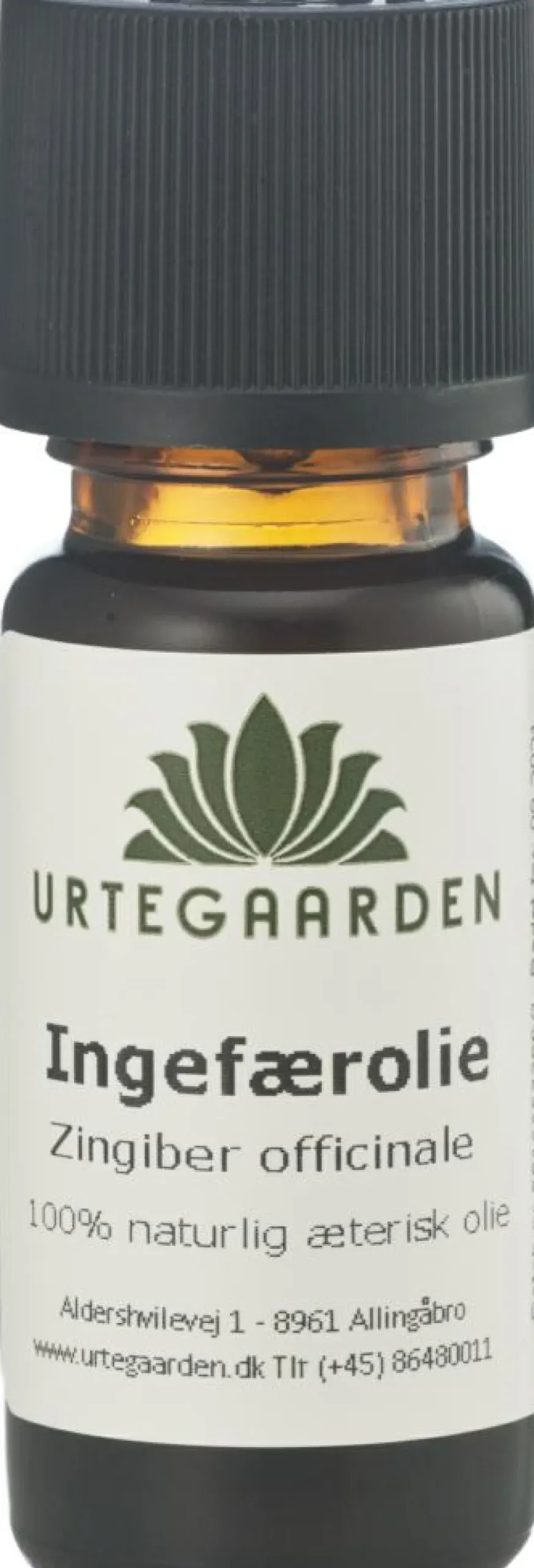 Urtegaarden Duft Til Hjemmet|Duftolier<Ingefærolie