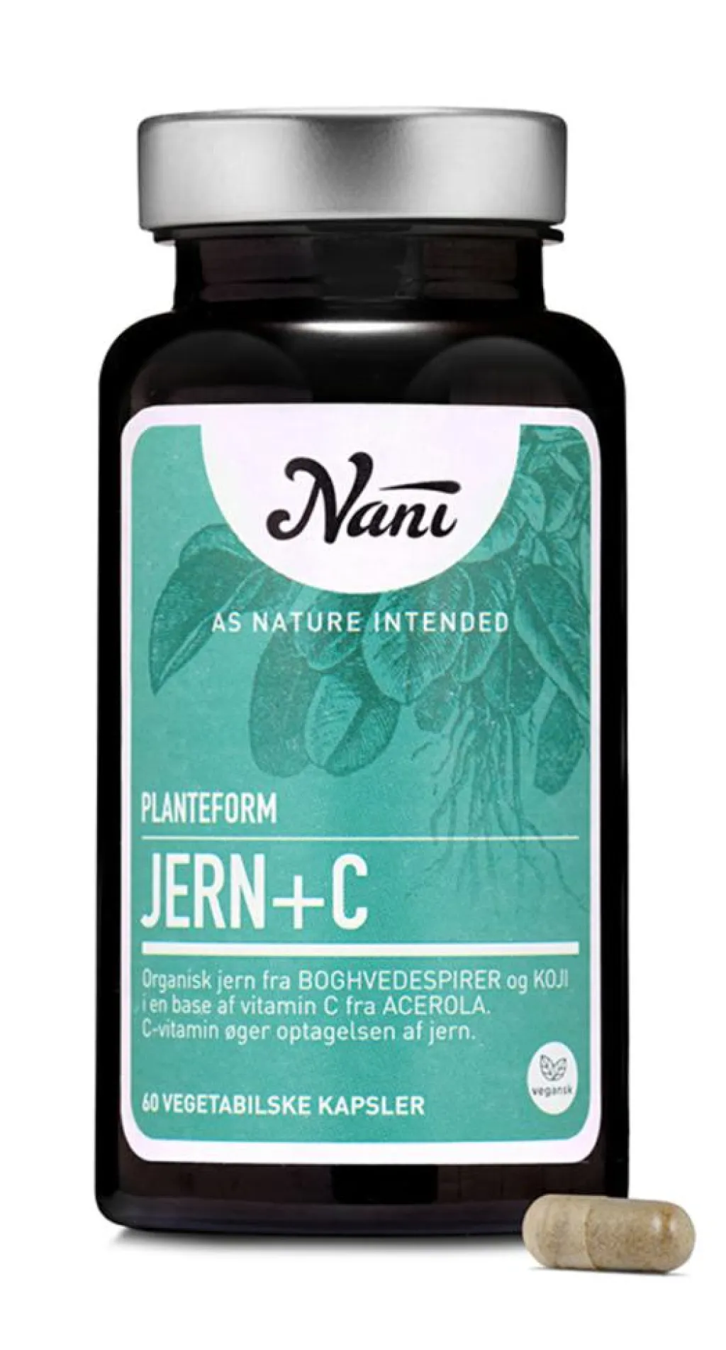 Nani Jern<Jern+C