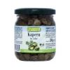 Biogan Kapers i lage Ø< Konserves