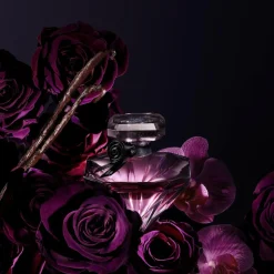 Lancôme La Nuit Trésor Eau de Parfum Vapo< Eau De Parfum|Parfumer Til Hende