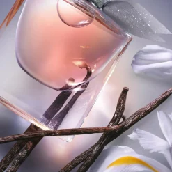 Lancôme Eau De Parfum|Parfumer Til Hende><noscript><img width=