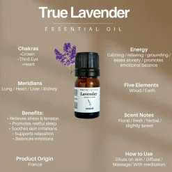 COOHÉ Lavender Essential Oil< Duftolier