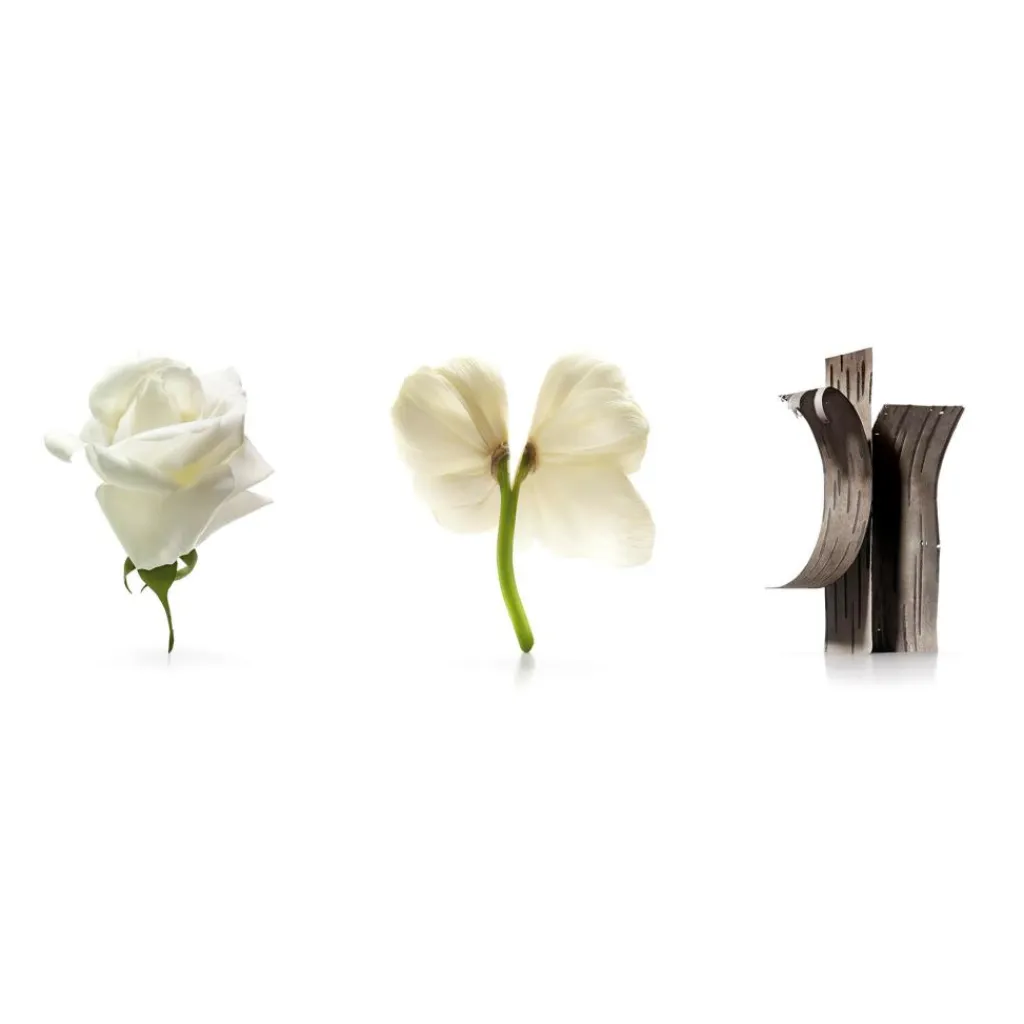 Issey Miyake Eau De Toilette|Parfumer Til Hende<L'Eau D'Issey Eau de Toilette