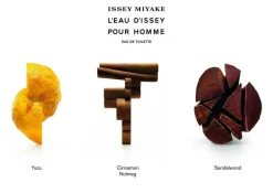 Issey Miyake L'Eau D'Issey Pour Homme Eau de Toilette< Eau De Toilette|Eau De Toilette