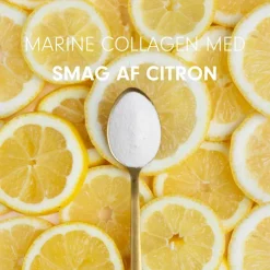 Vild Nord Lemon Marine Collagen< Ingredienser