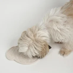 Staey Foder & Tilbehør<Licking Mat