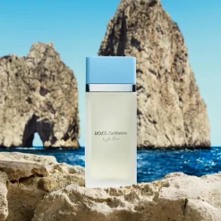 Dolce & Gabbana Light Blue Eau de Toilette< Eau De Toilette|Parfumer Til Hende